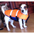 Спасательный жилет для собак в Кирове
