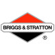 Двигатели Briggs-Stratton в Кирове