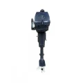 ЛОДОЧНЫЙ МОТОР SEA WALKER 3(S) 2Х-ТАКТ в Кирове
